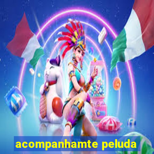 acompanhamte peluda